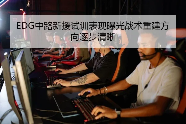EDG中路新援试训表现曝光战术重建方向逐步清晰